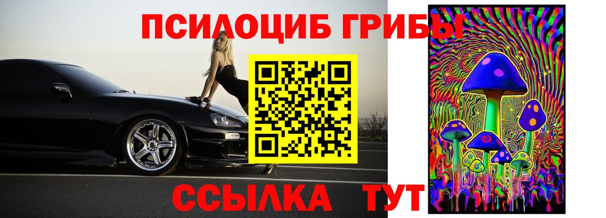 Псилоцибиновые грибы Psilocybe Саранск