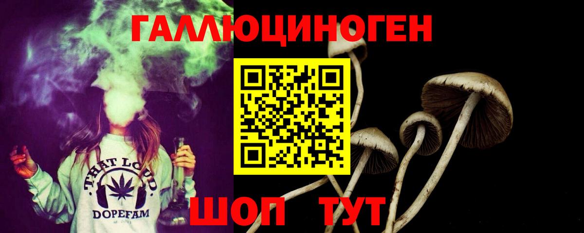 закладки  Псилоцибиновые грибы Psilocybe  Вход с VPN  Саранск 